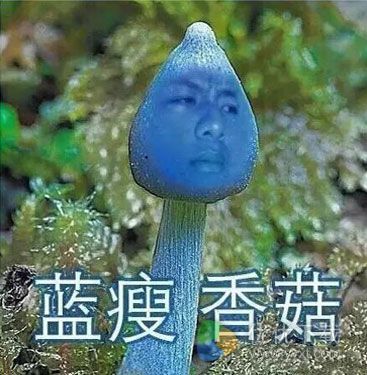 蓝瘦香菇表情包11