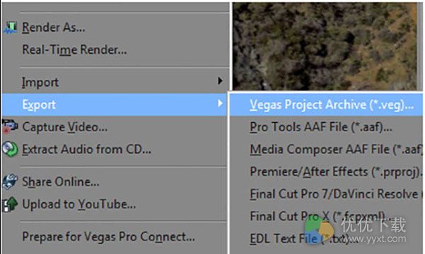 Vegas Pro 13