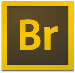 Adobe Bridge CC 2017中文版 v7.0.0.60