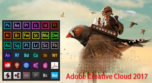 adobe zii 2017下载