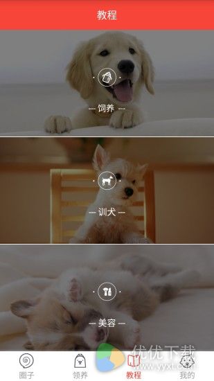 领狗狗ios版 v4.0