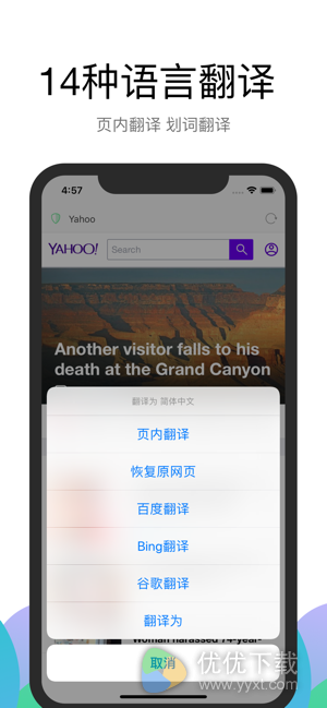 Alook浏览器ios版