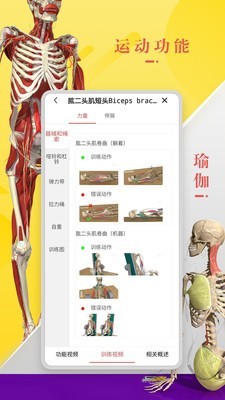 3DBody解剖安卓版 V8.3.7