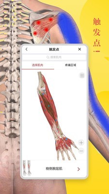 3DBody解剖安卓版 V8.3.7