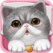 心动小猫ios版 V1.36.0