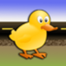 Duck Crossing安卓版 V1.0.0