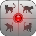 人猫交流器ios版 V1.4