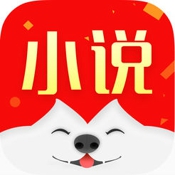 旺旺小说阅读神器ios版 V1.0