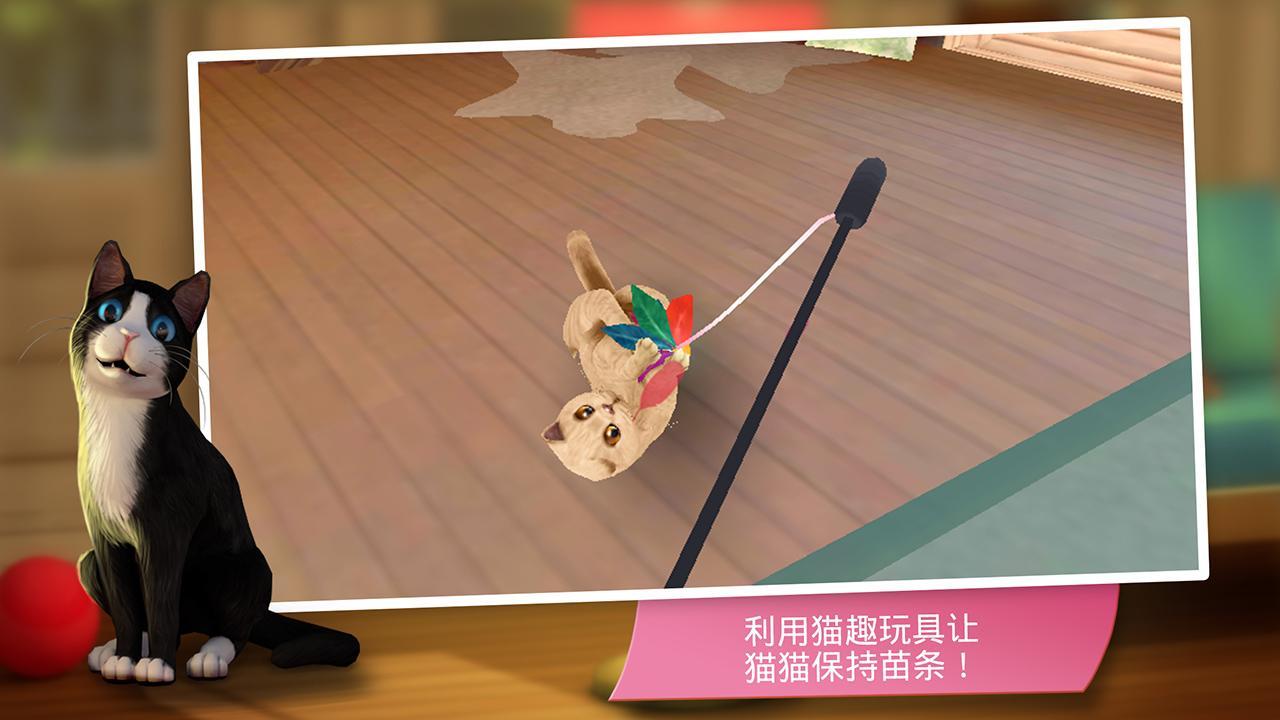 猫舍安卓版 V2.1