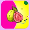 草莓丝瓜芭乐视频安卓免费版 V1.0