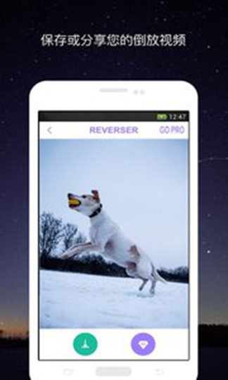 视频倒放助手安卓版 V2.0.18