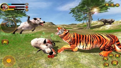 野生老虎冒险3D安卓版 V2.0