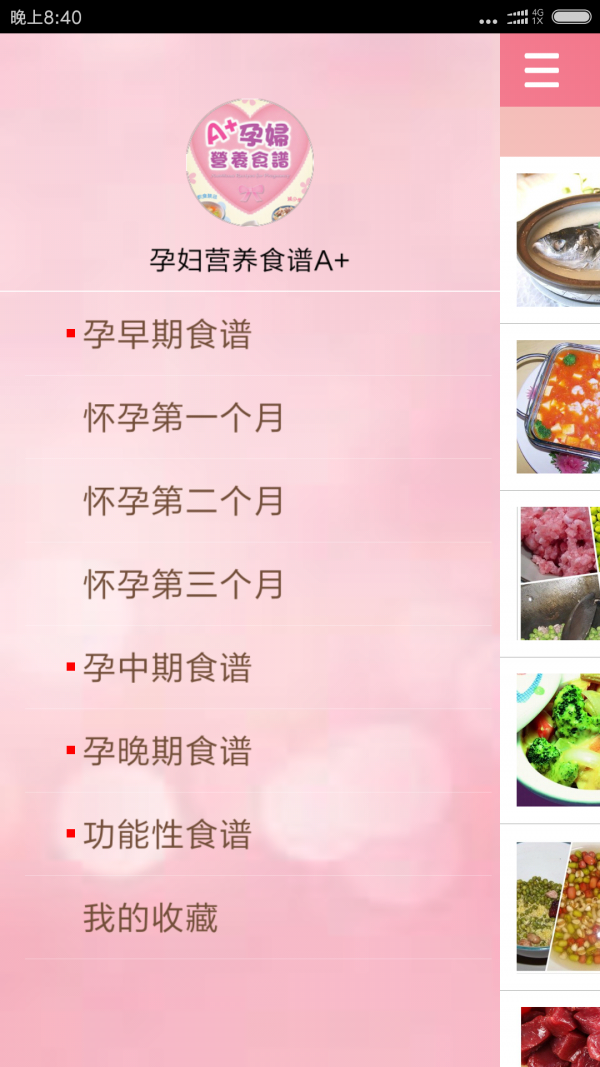 孕妇营养食谱A+安卓版 V3.3