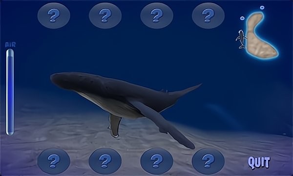 座头鲸模拟器安卓无限货币版 V1.0.2