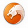 猎豹浏览器(无痕浏览器) V5.1.76.9003官方版