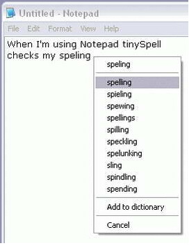 TinySpell 1.9.55（程序检查专家）