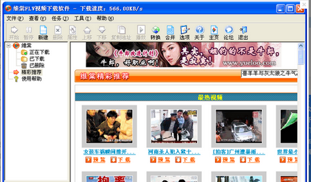 维棠FLV视频下载软件,维棠FLV,视频下载