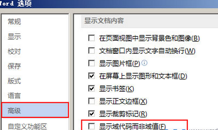 "Word 选项"窗口的"高级"项