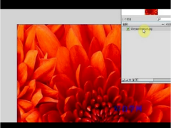 CorelDRAW教程-如何导入图像
