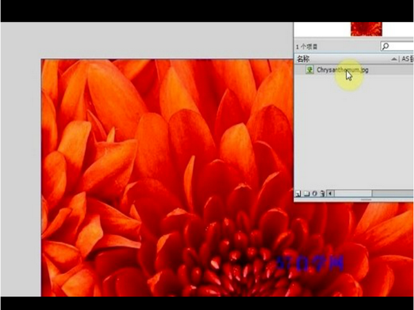 CorelDRAW教程-如何导入图像