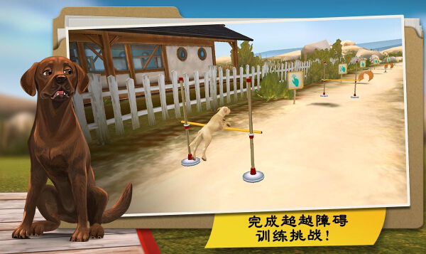 我的寄宿狗屋(萌宠横行) v1.5.14 for Android安卓版