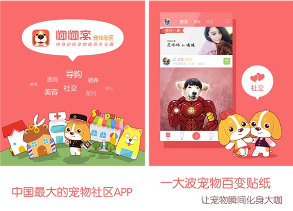 闻闻窝宠物社区for iPhone6.0（宠物生活）