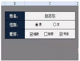 如何在Excel方框内打勾☑ 