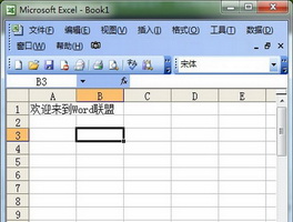 Excel表格如何设置自动换行