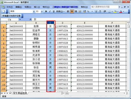 Excel2003如何实现字符替换