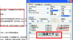 Word文档中常用的隐藏功能技巧