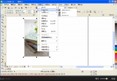 CorelDRAW视频教程-课堂举例-反显
