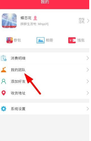 胖胖生活我的团队怎么加入