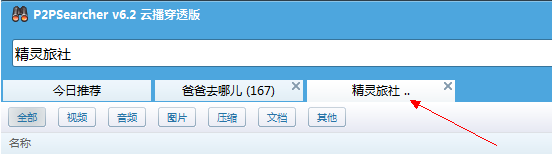 P2PSearcher如何使用教程