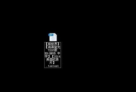 迅雷下载bt种子