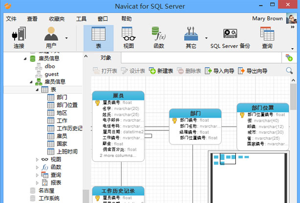 Navicat for SQL Server