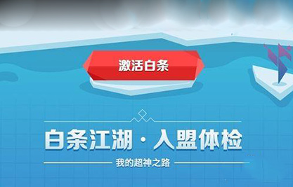 京东白条详细信息查看教程