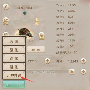问道手游宠物元神共通攻略