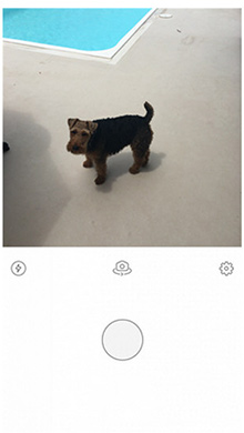 Prisma app使用教程1
