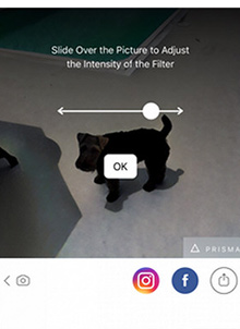Prisma app使用教程2